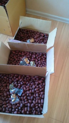 自家產(chǎn)新疆大棗，天然小棗，批發(fā)零售，品質(zhì)之選